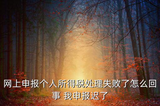 稅款處理失敗什么意思，扣繳稅款失敗提示銀財(cái)通處理失敗FAPP00444要怎樣處理才可以扣款