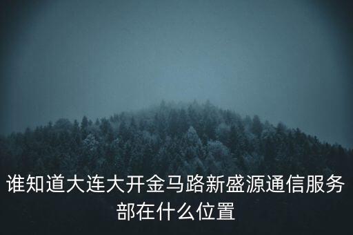 信息服務(wù)部可以叫什么地方，誰知道大連大開金馬路新盛源通信服務(wù)部在什么位置