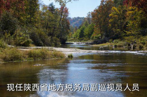 稅務(wù)局調(diào)研員是什么，一個(gè)縣區(qū)的稅務(wù)系統(tǒng)的局長職位是調(diào)研員還是主任科員