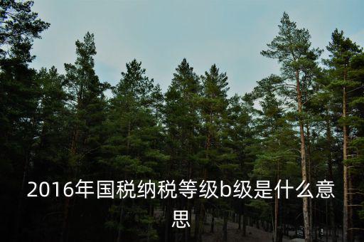 2016年國(guó)稅納稅等級(jí)b級(jí)是什么意思