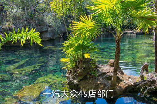 宋蘭去什么部門了，國家稅務(wù)總局的副局長宋蘭身體很豐滿