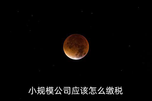 小規(guī)模公司按什么交稅嗎，一個小規(guī)模納稅公司國稅和地稅應該都分別交什么稅