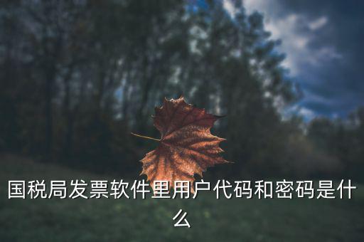 查詢發(fā)票要密碼是什么，國稅局發(fā)票軟件里用戶代碼和密碼是什么
