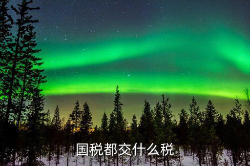 國稅稅費是什么，國稅都交什么稅