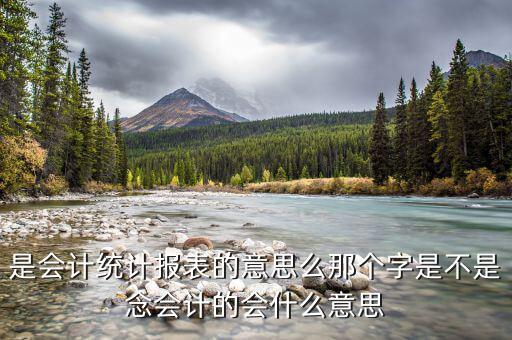 統(tǒng)計納稅申報表是什么，請問納稅申報中的基礎(chǔ)表數(shù)據(jù)中的基礎(chǔ)表是指什么