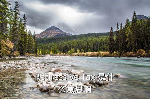 什么是稅收穿透，passthrough taxation是什么意思是直接繳稅嘛