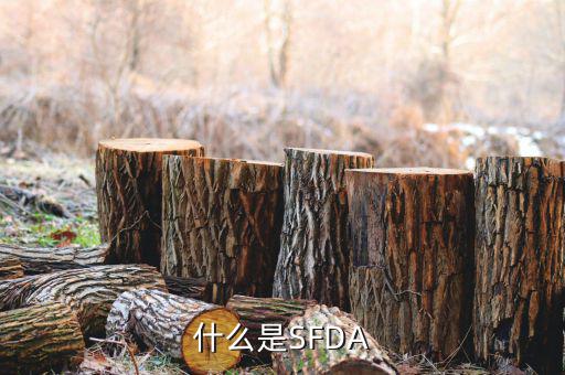 金稅是什么，什么是金關(guān)金橋金卡金稅