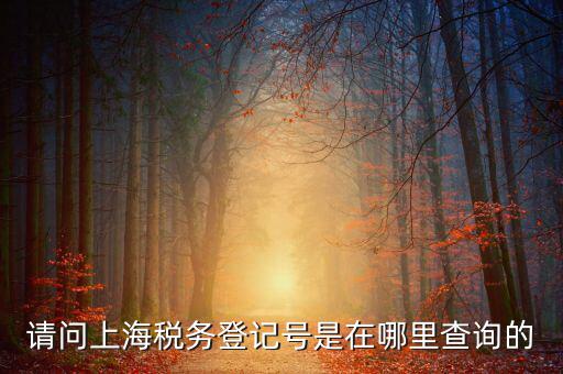 上海的稅務(wù)賬號是什么，請問上海稅務(wù)登記號是在哪里查詢的