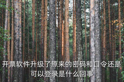 金稅盤開票密碼和口令是什么意思，口令和密碼有什么區(qū)別