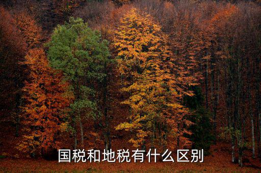 內(nèi)地稅是什么，請問地稅開的是什么發(fā)票國稅開的又是哪些發(fā)票比如說增值稅發(fā)