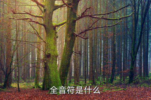 一戶式是什么，服裝SKU是指什么有什么實(shí)際應(yīng)用意義