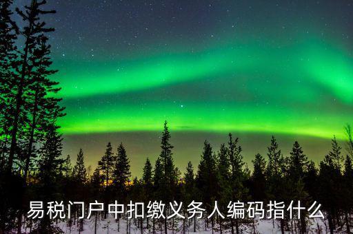 扣繳義務(wù)人識(shí)別碼是什么，易稅門(mén)戶中扣繳義務(wù)人編碼指什么