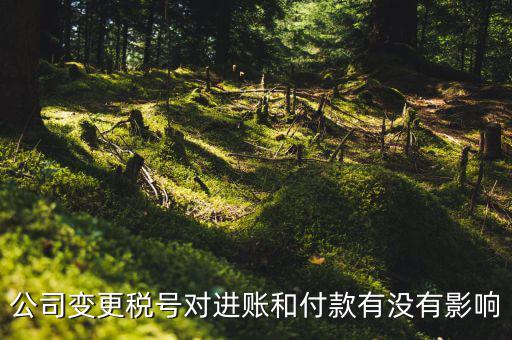 換稅號注意什么，公司變更稅號對進賬和付款有沒有影響