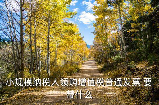 領(lǐng)增值稅普通發(fā)票需要什么資料，小規(guī)模納稅人領(lǐng)購(gòu)增值稅普通發(fā)票 要帶什么
