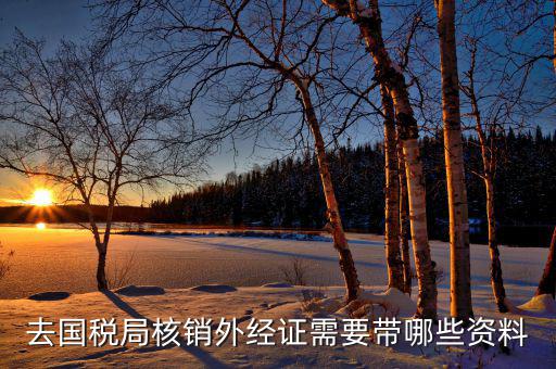 去國稅局核銷外經證需要帶哪些資料