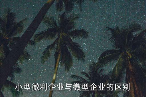 小型微利企業(yè)指的是什么，小型微利企業(yè)與微型企業(yè)的區(qū)別