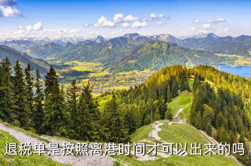 退稅單一般什么時(shí)候下來，退稅單是按照離港時(shí)間才可以出來的嗎