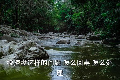 為什么稅控盤升級，稅控盤這樣的問題 怎么回事 怎么處理