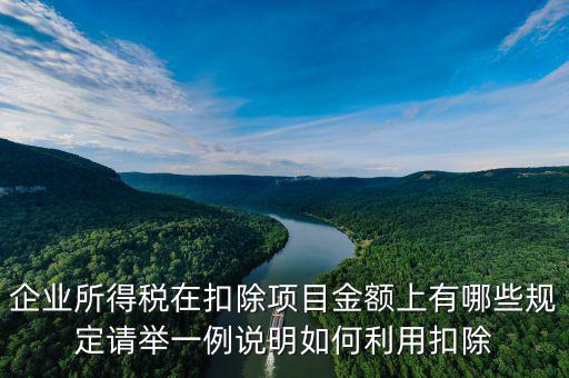 扣除項目金額是什么，應稅服務扣除項目清單中允許扣除項目金額指的是什么是總