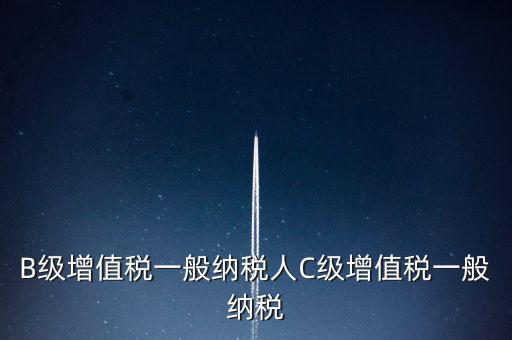 納稅用戶c級企業(yè)是什么意思，B級增值稅一般納稅人C級增值稅一般納稅