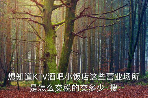 ktv交納什么稅，想知道KTV酒吧小飯店這些營業(yè)場所是怎么交稅的交多少  搜