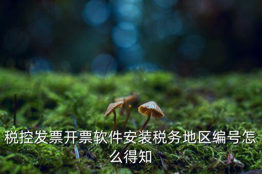 發(fā)票地區(qū)編號填什么，稅控發(fā)票開票軟件安裝稅務地區(qū)編號怎么得知