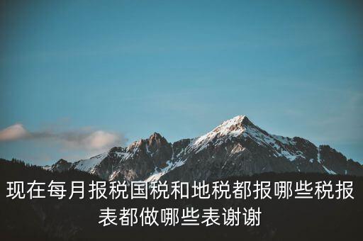 國稅報什么，現(xiàn)在每月報稅國稅和地稅都報哪些稅報表都做哪些表謝謝