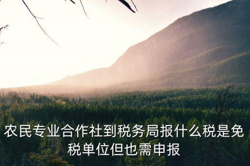 合作社應(yīng)報什么稅，農(nóng)民專業(yè)合作社是怎樣報稅的是企業(yè)還是個體戶