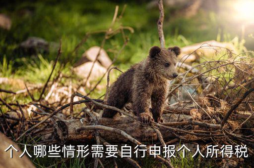 什么人申報個稅，個人哪些情形需要自行申報個人所得稅
