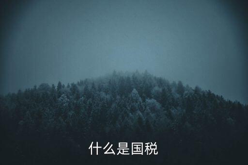 2017年國稅是什么，2017年我國財政稅收是多少