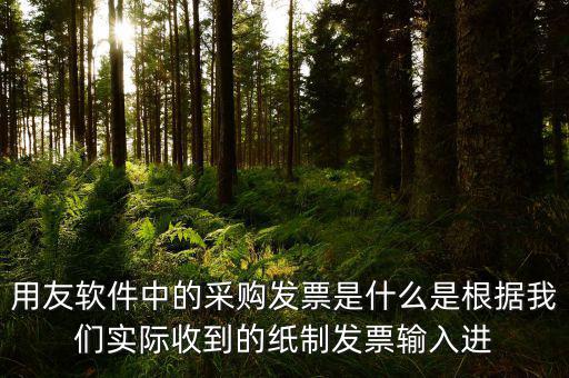 上下游采購(gòu)發(fā)票是什么，用友軟件中的采購(gòu)發(fā)票是什么是根據(jù)我們實(shí)際收到的紙制發(fā)票輸入進(jìn)