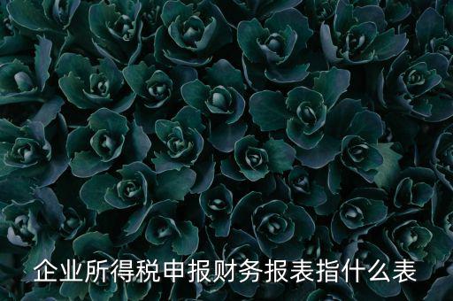 千戶集團(tuán)財務(wù)報表申報是什么，2015年度財務(wù)報表和申報表指的是啥