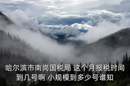 哈爾濱市南崗國稅局 這個(gè)月報(bào)稅時(shí)間到幾號(hào)啊 小規(guī)模到多少號(hào)誰知
