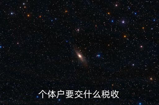 個體地稅交什么稅，個體戶要交什么稅收