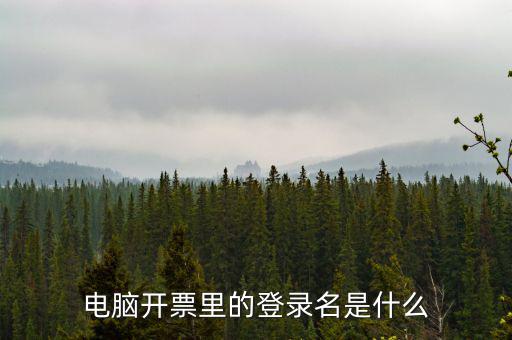 電子稅務(wù)局登錄賬號是什么意思，企業(yè)金稅盤系統(tǒng)用來開票抄稅報(bào)稅用那登錄國稅地稅局網(wǎng)站是干嘛的