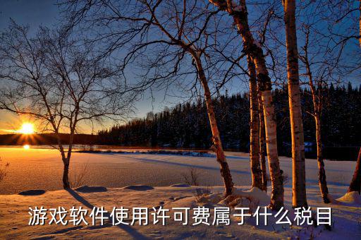 軟件使用費(fèi)交什么稅，軟件使用費(fèi)應(yīng)開(kāi)國(guó)稅發(fā)票還是地稅發(fā)票