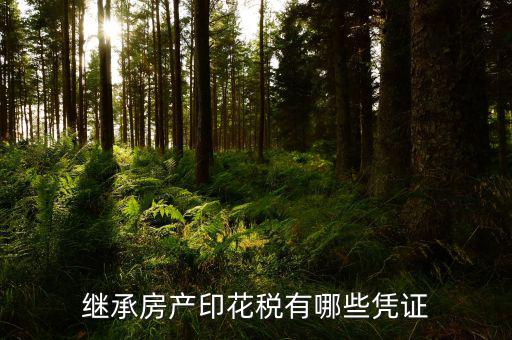 印花稅應(yīng)納稅憑證是什么，什么是憑證印花稅