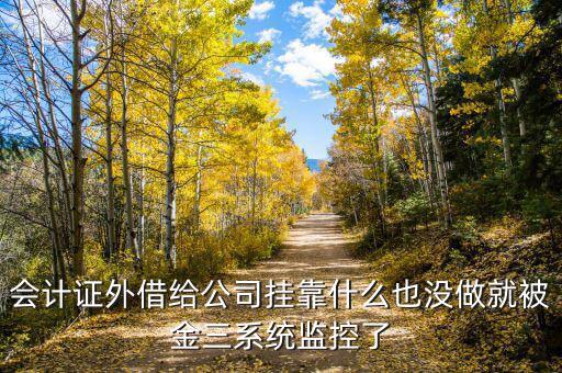 金三系統(tǒng)有什么問題，會計(jì)證外借給公司掛靠什么也沒做就被金三系統(tǒng)監(jiān)控了