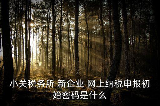 深圳國(guó)稅微信預(yù)約密碼是什么意思，小關(guān)稅務(wù)所 新企業(yè) 網(wǎng)上納稅申報(bào)初始密碼是什么