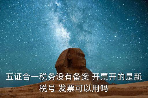 新稅號(hào)用到什么，新稅號(hào)開的發(fā)票與老稅號(hào)開具的發(fā)票有什么不同