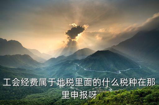 工會經(jīng)費(fèi)屬于地稅里面的什么稅種在那里申報呀
