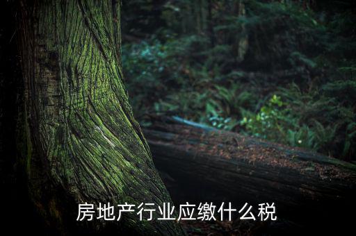 房地產(chǎn)企業(yè)要交什么稅，房地產(chǎn)行業(yè)應(yīng)繳什么稅