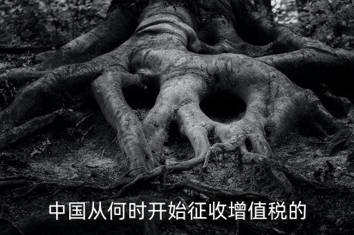 什么時(shí)候征收增值稅，批發(fā)零售業(yè)增值稅征收率什么時(shí)間開始為3