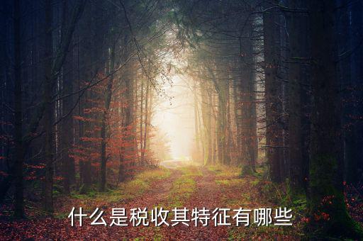 稅收的特點是什么意思，稅收的實質(zhì)和特征