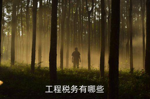 稅務(wù)三代項(xiàng)目是什么，通常說的三稅是指什么啊