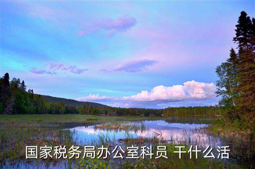 國稅行政辦公室干什么，國稅局辦公室怎么樣
