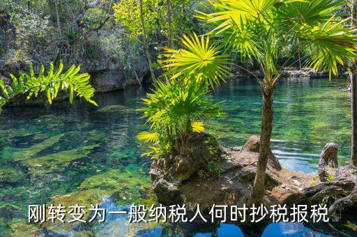 什么時(shí)候抄報(bào)稅，什么時(shí)候去國(guó)稅局抄稅