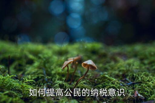 什么是納稅漫畫宣傳，魁拔第一部的投入官方說是3500萬一部動漫為什么投資那么大都花