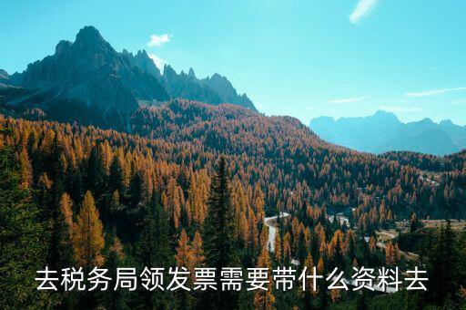 領(lǐng)定額發(fā)票帶什么，去稅務(wù)局領(lǐng)發(fā)票需要帶什么資料去