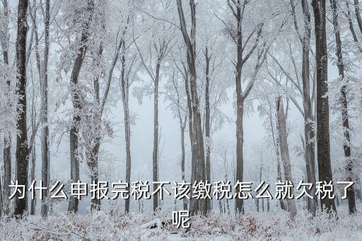 為什么國稅欠稅不催繳，因稅務(wù)機(jī)關(guān)原因未能及時繳納稅款是否屬于欠稅